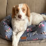 Jen Gibson - @jennifergibson677 - Instagram