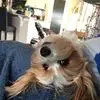 Jennifer Goble - @jennifer.goble - TikTok