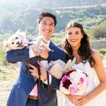 Jen Goldman - @jenifercgoldman - Instagram