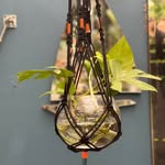 Jen Goodwin - @growcapetown - Instagram
