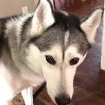Jen Gould - @aurorasmom618 - Instagram