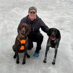 Jen Gould - @gus.and.daisy.the.gsps - Instagram