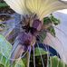 Jennifer Gould - Facebook