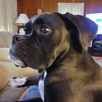 Jen Gray - Facebook