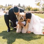 Jen Manyen Cheng - @jennifer5cheng - Instagram