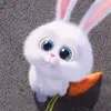 jenheng2 - @jenheng2 - TikTok
