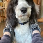 Jen Herbert - @maisybust - Instagram