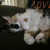 jenherman4 - @jenherman4 - TikTok