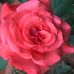 Jen Higgins - Facebook