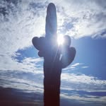 Jennifer Holcomb - @jenholcomb43 - Instagram
