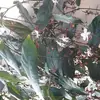 jen huang - @jen.huang50 - TikTok