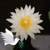 Jen Huang - @jen.huang4 - TikTok