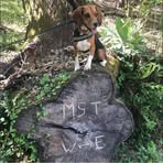 Jen Kern - Facebook