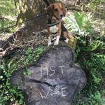 Jen Kern - @run_likeagirl - Instagram