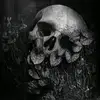 Spookie - @jenkruger2 - TikTok