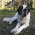 Jenn Logan - Facebook