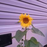 Jen Ilowiecki Lutz - @jenlutz003 - Instagram