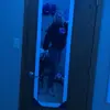jennalutz24 - @jennalutz24 - TikTok