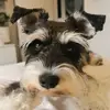 Jen Mackey - @winston.sadie - TikTok