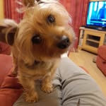 Jen Maxwell Reid - @jen.m.reid.7 - Instagram