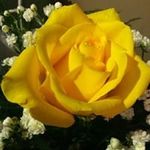 Jen Miner - @diaga05 - Instagram