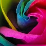 Jen Miner - @miner_jen - Instagram