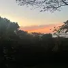 Jenn - @jenmorrison_ - TikTok