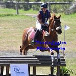 Jen Moss - @jenmoss_eventing - Instagram