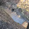 lisa - @muller.jen - TikTok