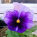 Jen Murphy - Facebook