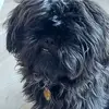 jenowen282 - @jenowen282 - TikTok