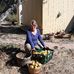 Jen Patterson - Facebook