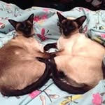 Jen Patterson - @jenpatterson8038 - Instagram