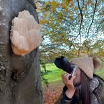 Jen Pope - @ispy_fungi - Instagram