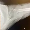 jenmarieisme - @jenmarieproctor - TikTok