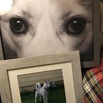 Jen Quinn - @jennyq15 - Instagram