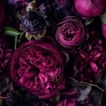 Jen randall - @nyxxy_b - Instagram