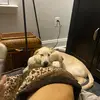 Jen Rivera - @jrivera19831 - TikTok