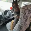 Jen Roberts - @jen.roberts42 - TikTok
