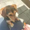 Jen Roberts - @jendy_88 - TikTok