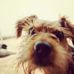 Jen Rockwell - @jdelgrosso16 - Instagram