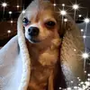 Jenn Rubino - @jennrubino - TikTok