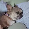 Jenn_Savage_ - @savage_af_ - TikTok