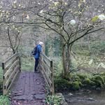jen_sealy - @jen_sealy - Instagram