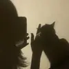 jensea - @jenseall - TikTok