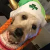Jen Shores - @jen.shores - TikTok