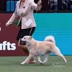 Jenny Shorer-Wheeler - @jenshorer - Instagram