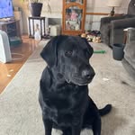 Jen Doris Sutton - @jensutton25 - Instagram