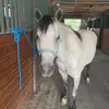 jenswain - @jenswain - TikTok
