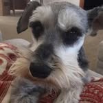 Jen Swanson - @jloswanson - Instagram
